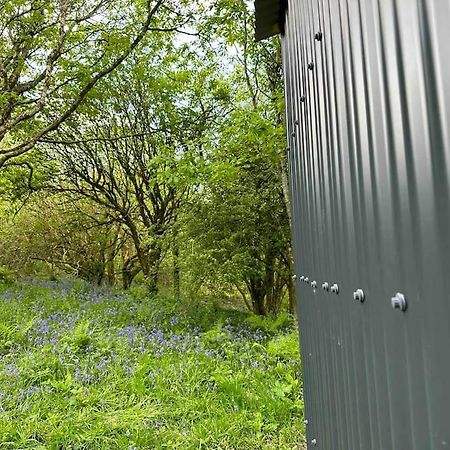 Cornwall Woodland Shepherd'S Hut - Dennis Hut Bodmin Exterior foto