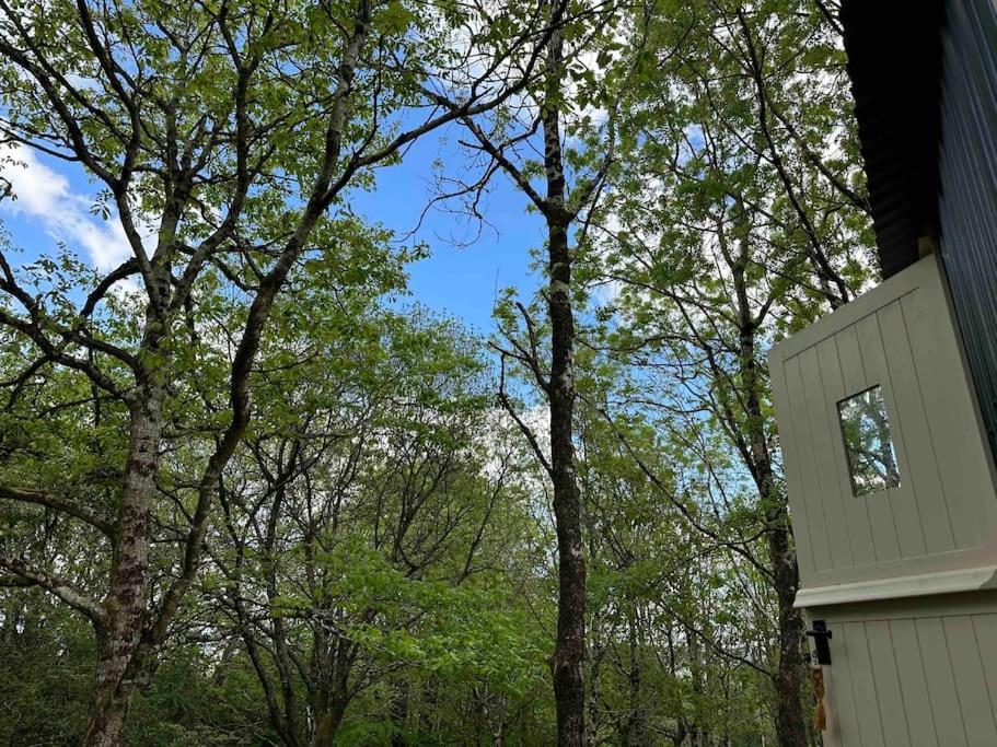 Cornwall Woodland Shepherd'S Hut - Dennis Hut Bodmin Exterior foto