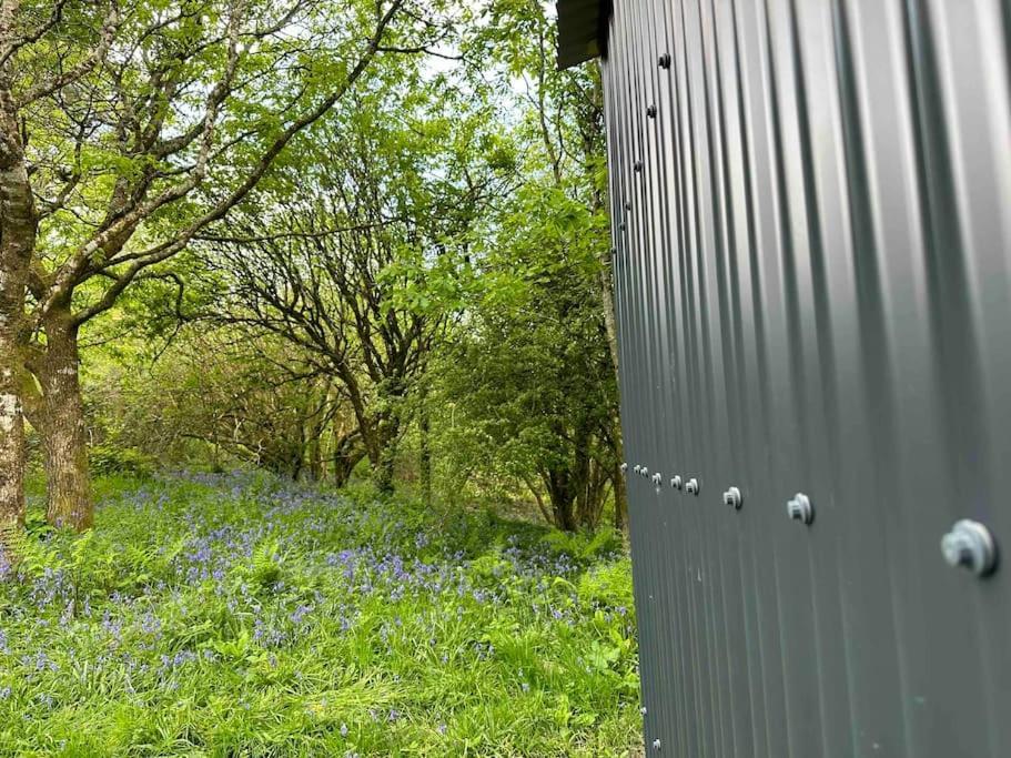 Cornwall Woodland Shepherd'S Hut - Dennis Hut Bodmin Exterior foto