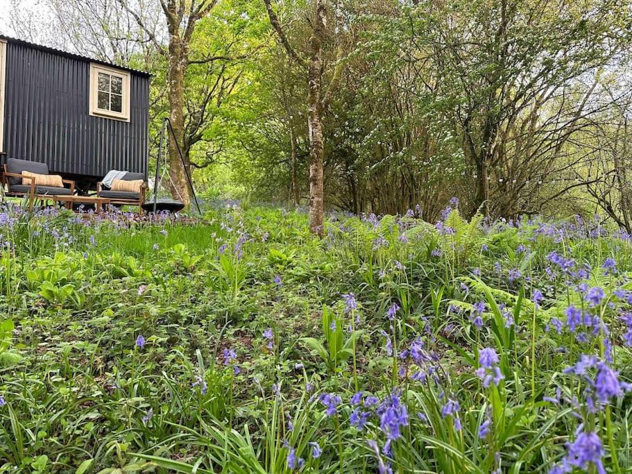 Cornwall Woodland Shepherd'S Hut - Dennis Hut Bodmin Exterior foto