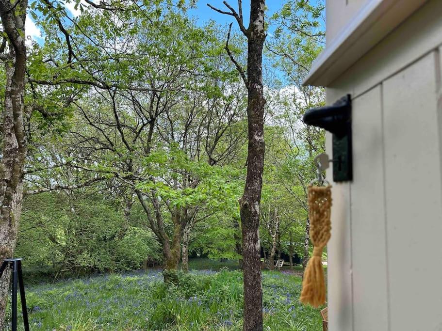 Cornwall Woodland Shepherd'S Hut - Dennis Hut Bodmin Exterior foto