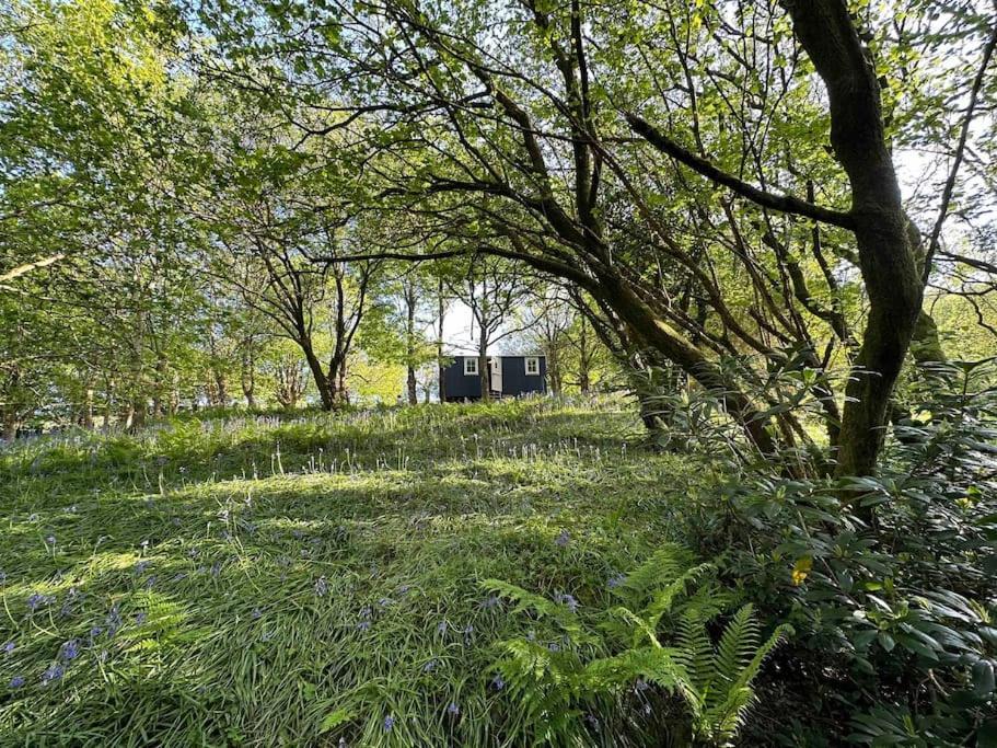 Cornwall Woodland Shepherd'S Hut - Dennis Hut Bodmin Exterior foto